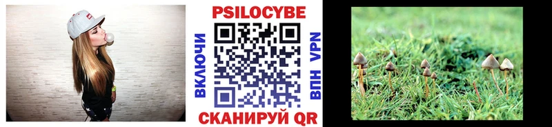 дарнет шоп  Сковородино  Галлюциногенные грибы мицелий 